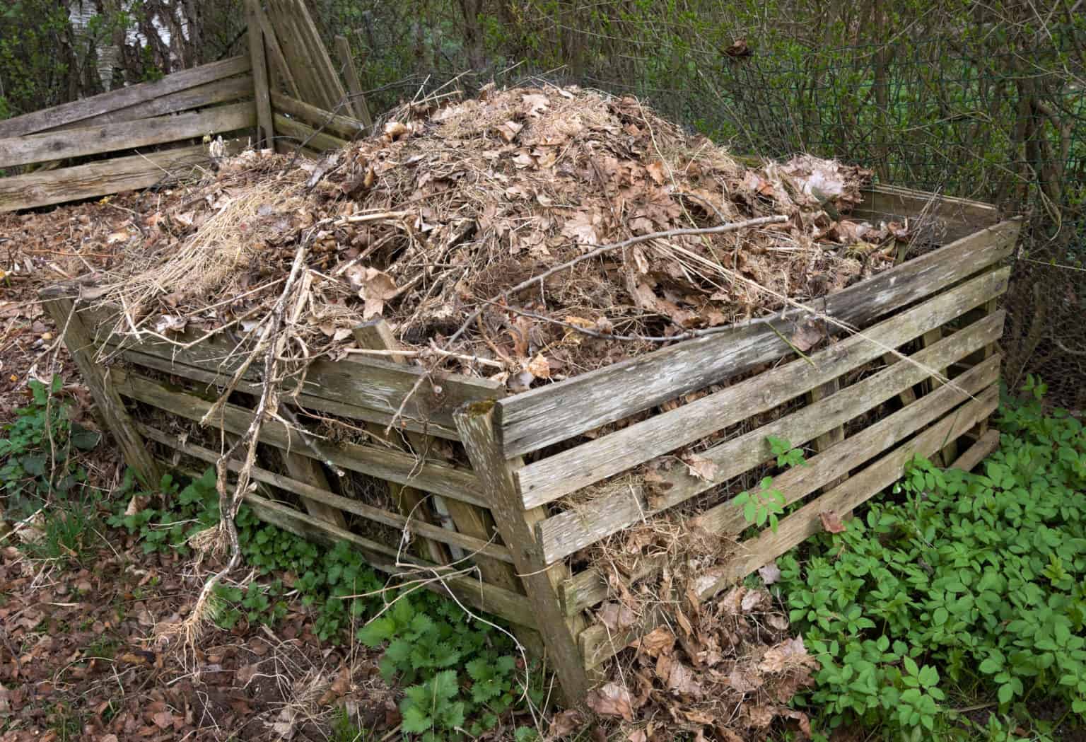 Was darf auf den Kompost? Vorsicht bei vielen Abfällen!