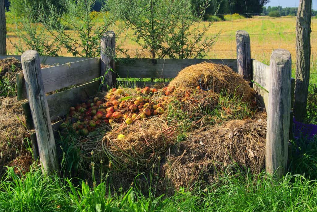 53+ Kompostieren Von Gras, Was sie zu diesem thema.