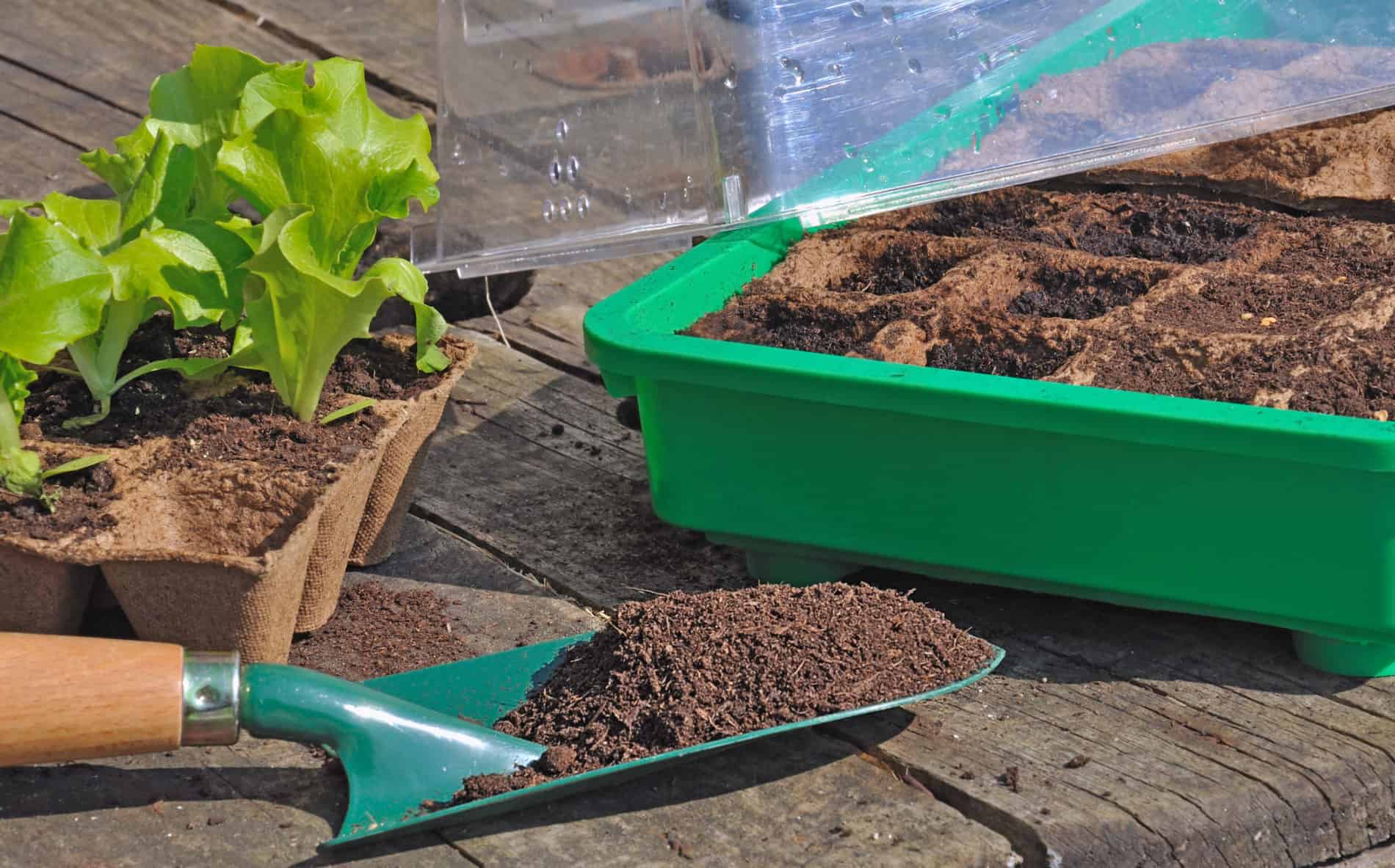 Mini Gewächshaus mit Heizung Darauf kommt es an Beetfrisch