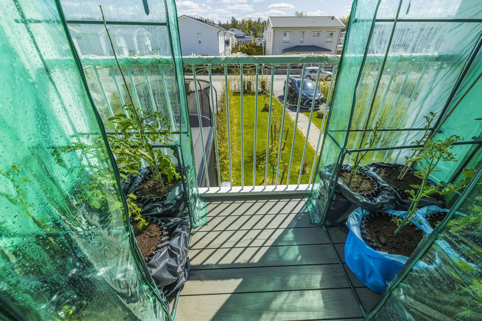 Kleines Gewächshaus für den Balkon So geht's richtig