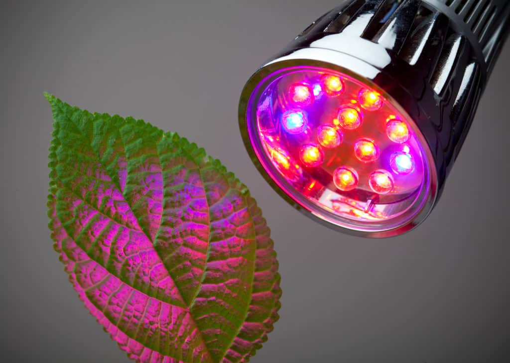 Pflanzenlampe Test Wachstumslampe