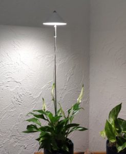 Beste Tageslichtlampe für Pflanzen Meine Top 6