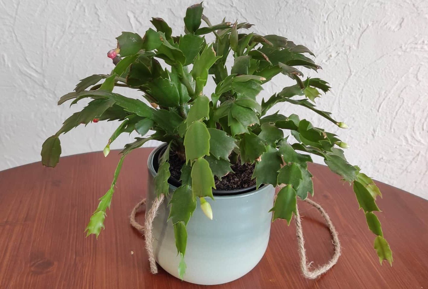 Rummage Sales Near Me This Weekend